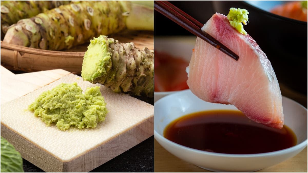 別再搞錯了!「哇沙米」其實不是芥末,吃壽司或生魚片沾「它」竟為防中毒