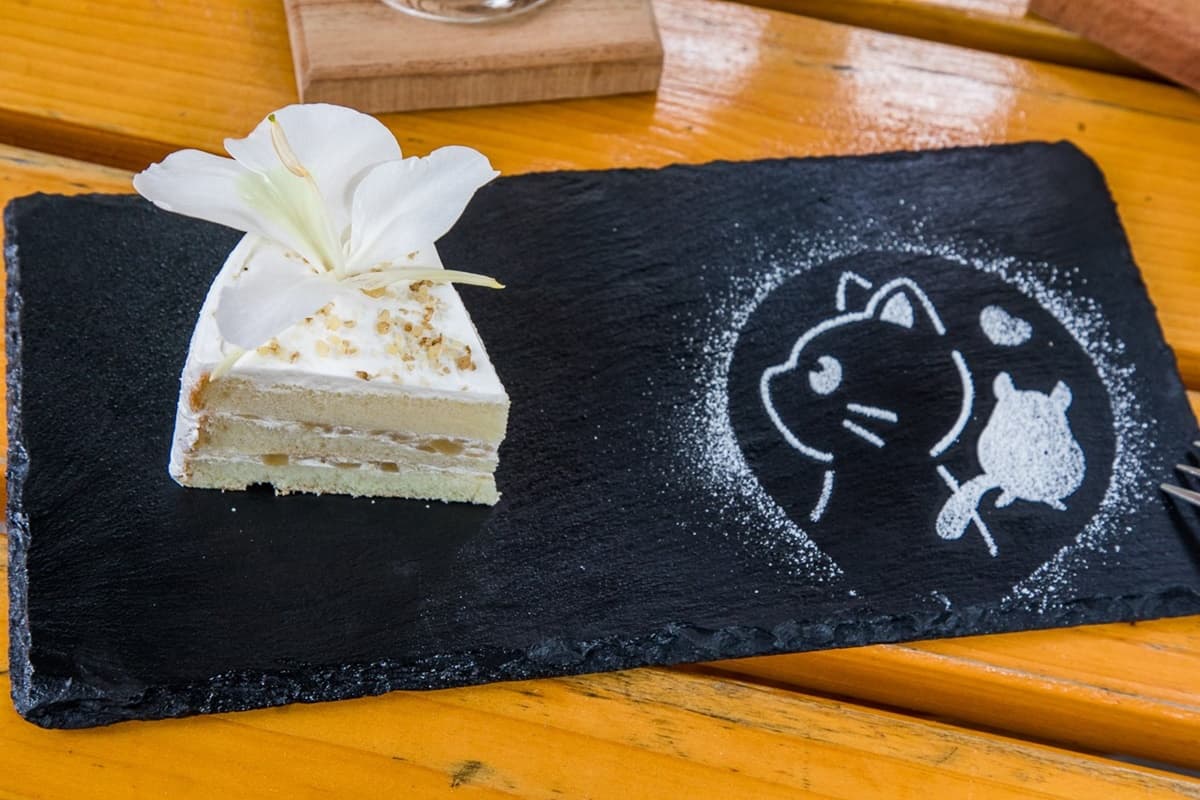 超萌貓咪吸到飽!4.9星庭園餐廳藏少見「龍貓」,必點萌翻立體貓貓歐蕾 超萌貓咪吸到飽!4.9星庭園餐廳藏少見「龍貓」,必點萌翻立體貓貓歐蕾