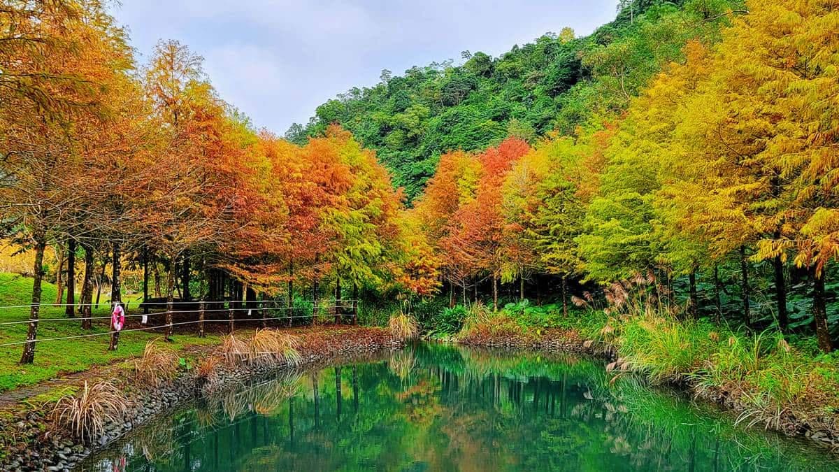 三層坪水土保持農塘教育園區 img