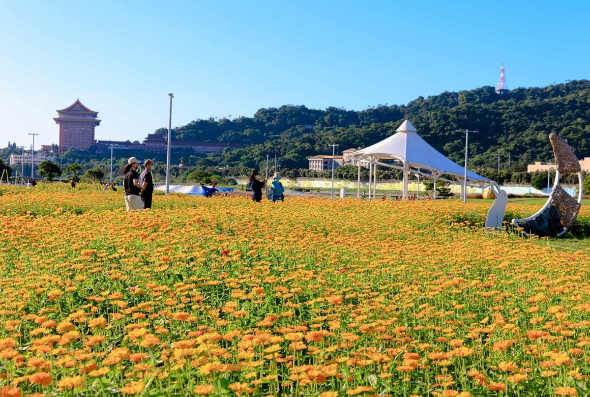花仙子開追!6處秋冬花海祕境:神祕外星人出沒、台版普羅旺斯、金黃向日葵 花仙子開追!6處秋冬花海祕境:神祕外星人出沒、台版普羅旺斯、金黃向日葵