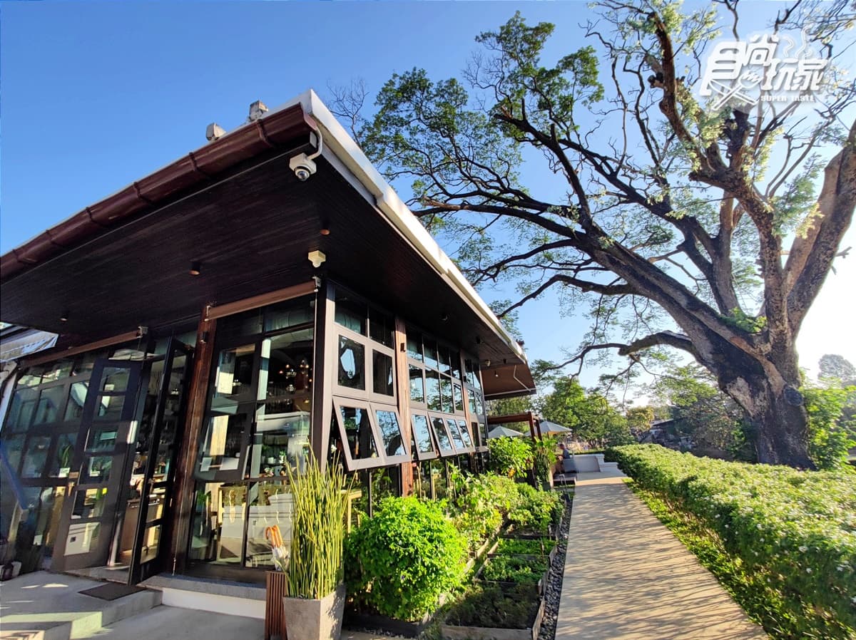 戀人此生必住!清邁絕美河景度假村,「百年愛情巨樹」浪漫破表成地標 戀人此生必住!清邁絕美河景度假村,「百年愛情巨樹」浪漫破表成地標