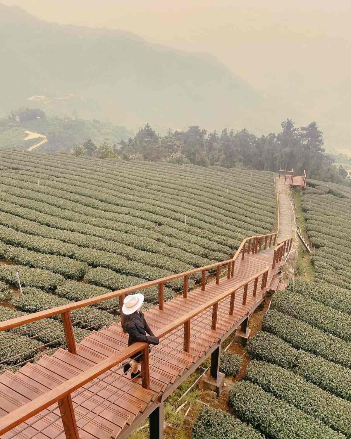 別只去阿里山!嘉義梅山12大祕境:最美茶園步道、台版九寨溝、海拔最高吊橋 別只去阿里山!嘉義梅山12大祕境:最美茶園步道、台版九寨溝、海拔最高吊橋