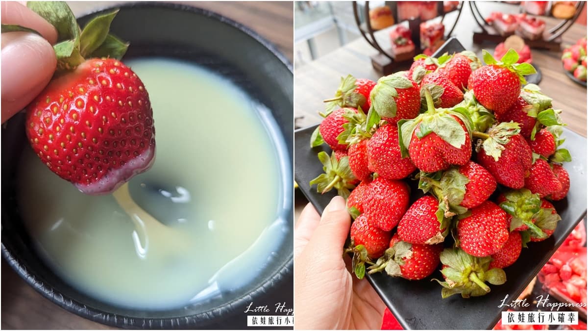 「麻辣鍋+大湖草莓」599元吃到飽!自助吧60種食材無限嗑,加碼多款草莓甜點 「麻辣鍋+大湖草莓」599元吃到飽!自助吧60種食材無限嗑,加碼多款草莓甜點