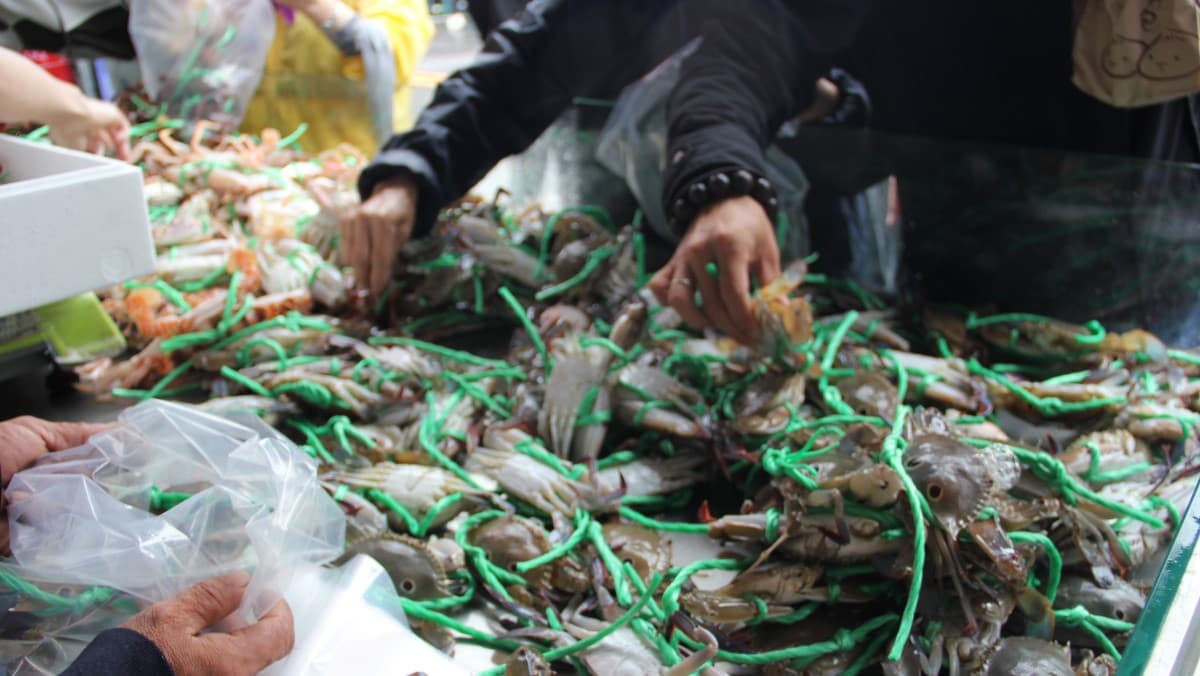 「螃蟹肥了」!12月3日漁獲促銷特賣會,與您相約漁人碼頭淡水魚市 「螃蟹肥了」!12月3日漁獲促銷特賣會,與您相約漁人碼頭淡水魚市