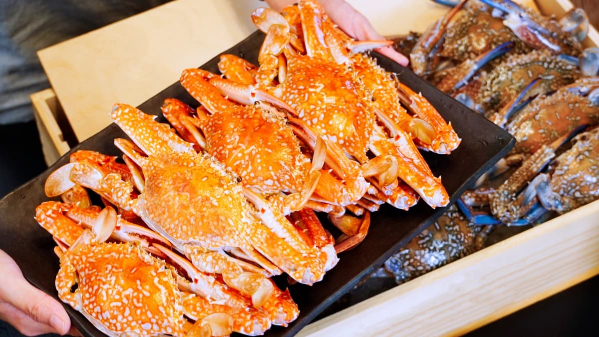 本週聚餐看這篇!5餐廳好康免費拿:對身分證送龍蝦、壽星幾歲送幾隻雞翅 身分證中2碼花蟹吃到飽!姓名有「新年快樂」龍蝦免費嗑,再爽吃貴妃麻奶鍋