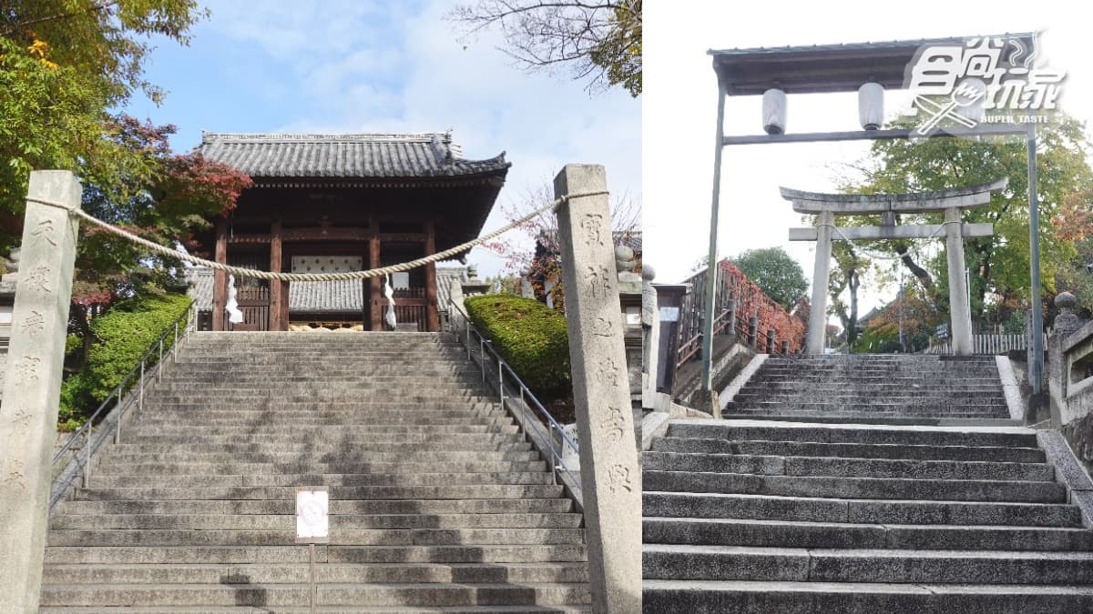 日本SNS最美「花御守」!超仙氣紫藤花形求良緣,再賞紫藤瀑布、最新花手水(中獎者公布) 日本SNS最美「花御守」!超仙氣紫藤花形求良緣,再賞紫藤瀑布、最新花手水(中獎者公布)