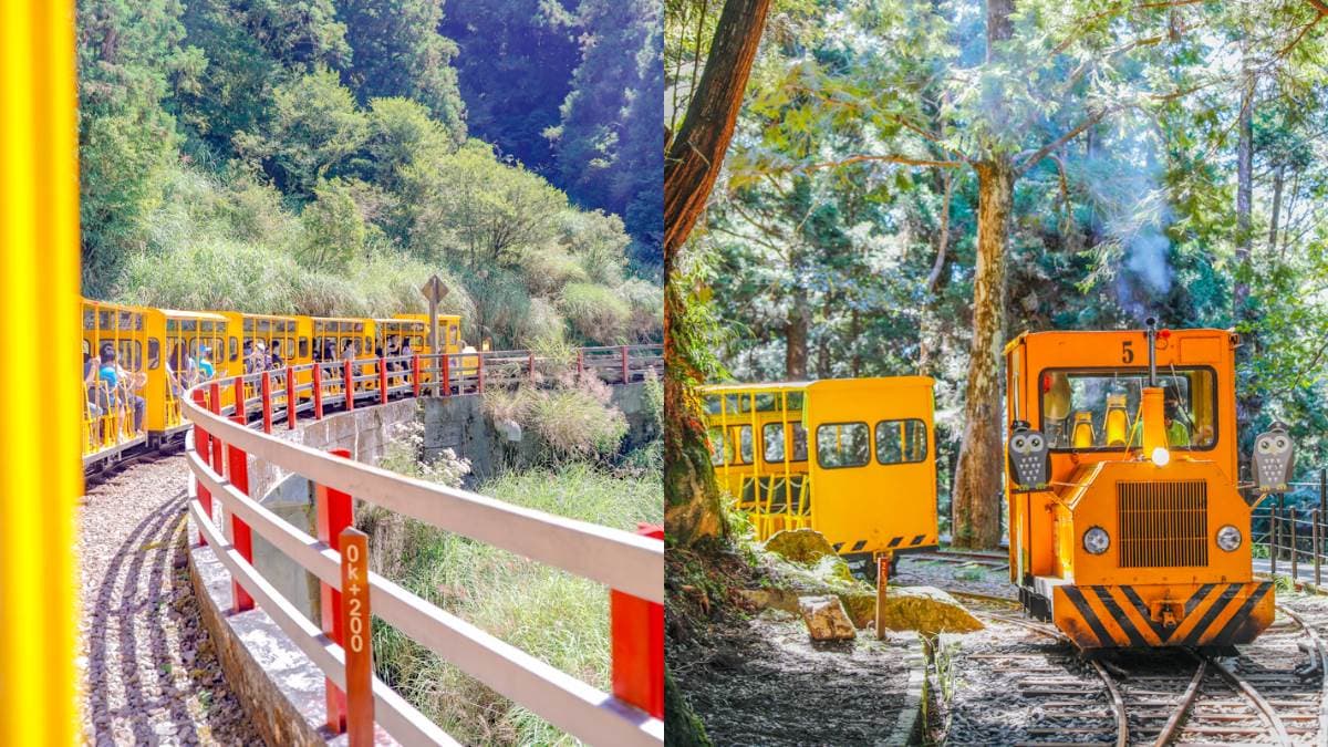 迎接2023第一道曙光!「太平山森林遊樂區」凌晨3點提早開,搭蹦蹦車賞日出 迎接2023第一道曙光!「太平山森林遊樂區」凌晨3點提早開,搭蹦蹦車賞日出