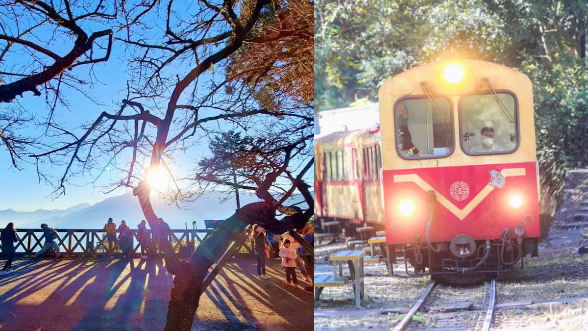 衝阿里山賞2023元旦日出!祝山觀日列車今起開始預售,「這天」快搶訂個人票