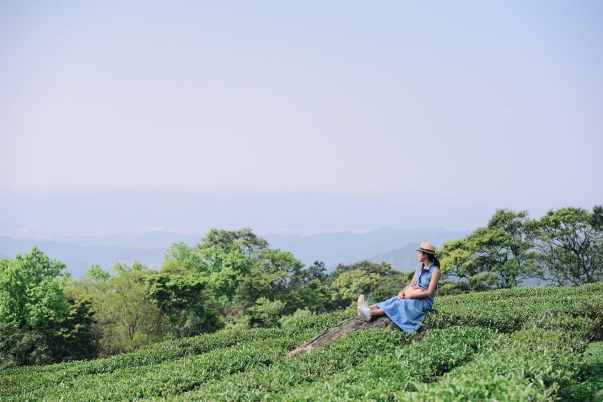 不要只逛老街啦!三峽6大私房祕境:10分鐘攻頂、絕美茶園、仙氣爆棚瀑布 不要只逛老街啦!三峽6大私房祕境:10分鐘攻頂、絕美茶園、仙氣爆棚瀑布