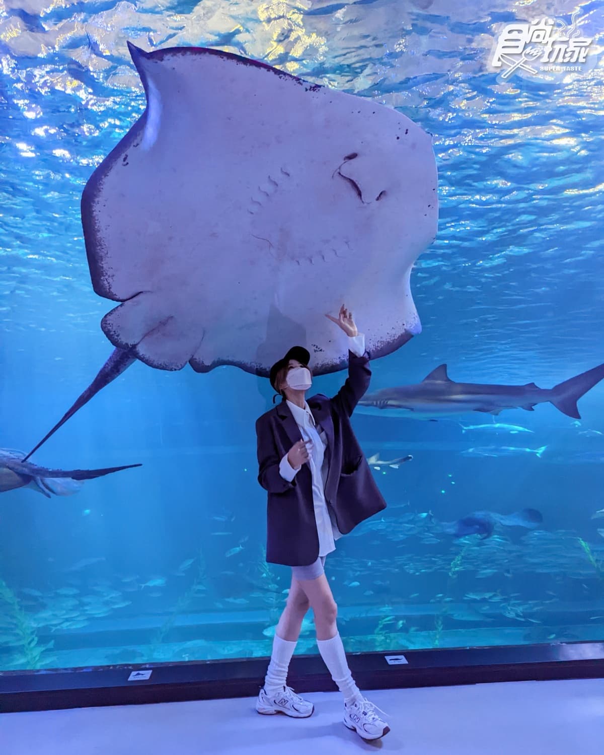 打卡巨萌魟魚+23米水槽!直擊世界級水族館,再搶拍4層樓觀景窗、海底隧道 打卡巨萌魟魚+23米水槽!直擊世界級水族館,再搶拍4層樓觀景窗、海底隧道