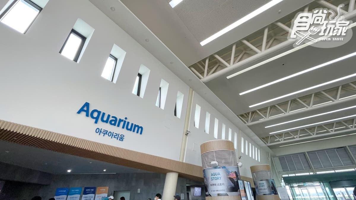 打卡巨萌魟魚+23米水槽!直擊世界級水族館,再搶拍4層樓觀景窗、海底隧道 打卡巨萌魟魚+23米水槽!直擊世界級水族館,再搶拍4層樓觀景窗、海底隧道