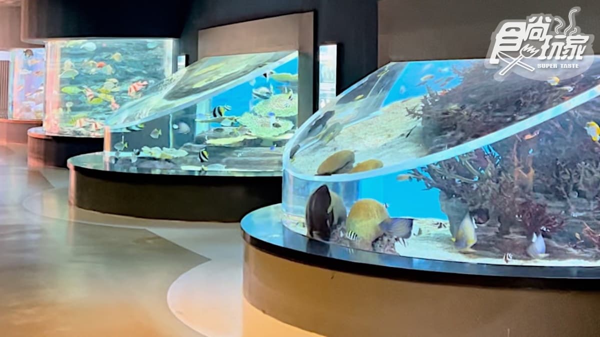 打卡巨萌魟魚+23米水槽!直擊世界級水族館,再搶拍4層樓觀景窗、海底隧道 打卡巨萌魟魚+23米水槽!直擊世界級水族館,再搶拍4層樓觀景窗、海底隧道