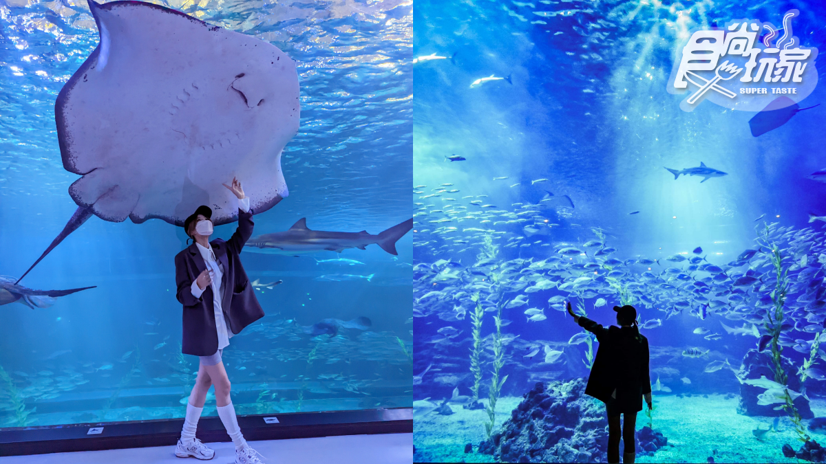 打卡巨萌魟魚+23米水槽!直擊世界級水族館,再搶拍4層樓觀景窗、海底隧道