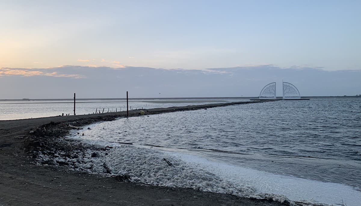 全台唯一!台南鹽田純白「生命之樹」新登場,搭配海上步道搶拍IG美照 全台唯一!台南鹽田純白「生命之樹」新登場,搭配海上步道搶拍IG美照