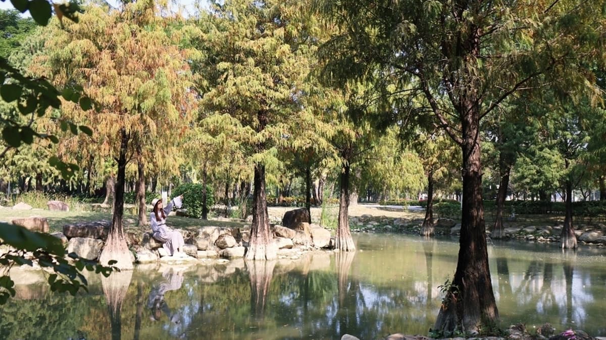 凹子底森林公園