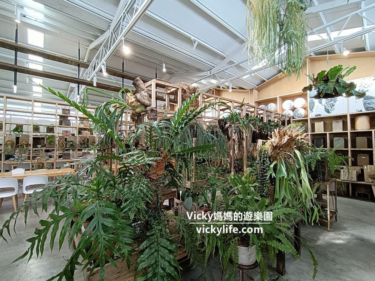 嘉義賞梅快筆記!梅山周邊6家好評美食:總統府指定茶葉蛋、75元吸爆羊大骨 嘉義賞梅快筆記!梅山周邊6家好評美食:總統府指定茶葉蛋、75元吸爆羊大骨