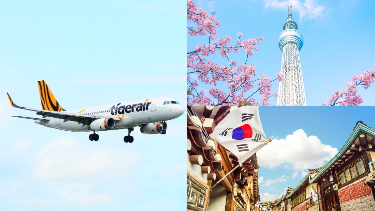 飛東京、首爾1500元有找!虎航「日韓優惠航線」限時2天開搶,直飛12大夯點