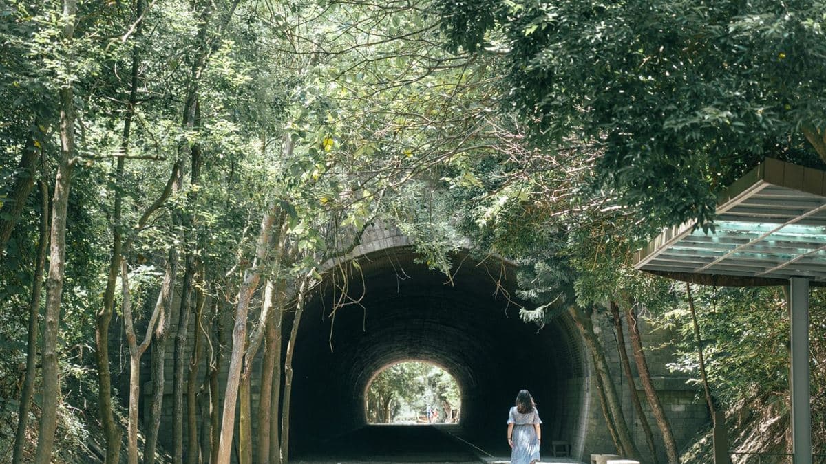 崎頂子母隧道 img