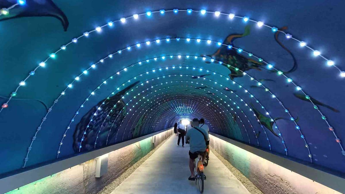 旗津星空隧道 img