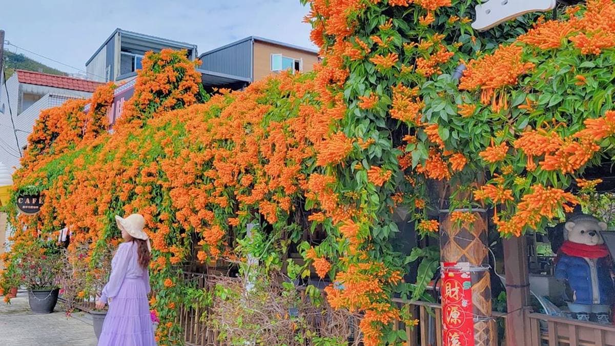 羅浮花園咖啡廣場