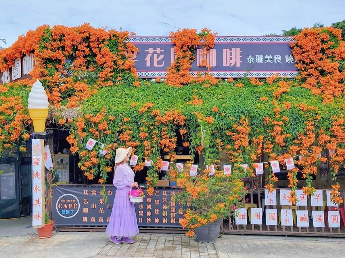 炮仗花現正滿開中!5大洗版IG賞花夯點:300公尺花牆步道、3層樓橘紅瀑布 炮仗花現正滿開中!5大洗版IG賞花夯點:300公尺花牆步道、3層樓橘紅瀑布