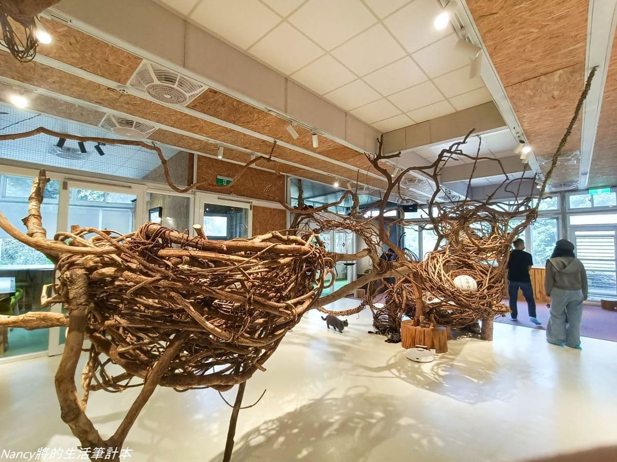 享受被50隻喵星人圍繞!貓奴快衝新北隱藏版「貓咪餐廳」,2.5小時吸貓吸到爽 享受被50隻喵星人圍繞!貓奴快衝新北隱藏版「貓咪餐廳」,2.5小時吸貓吸到爽