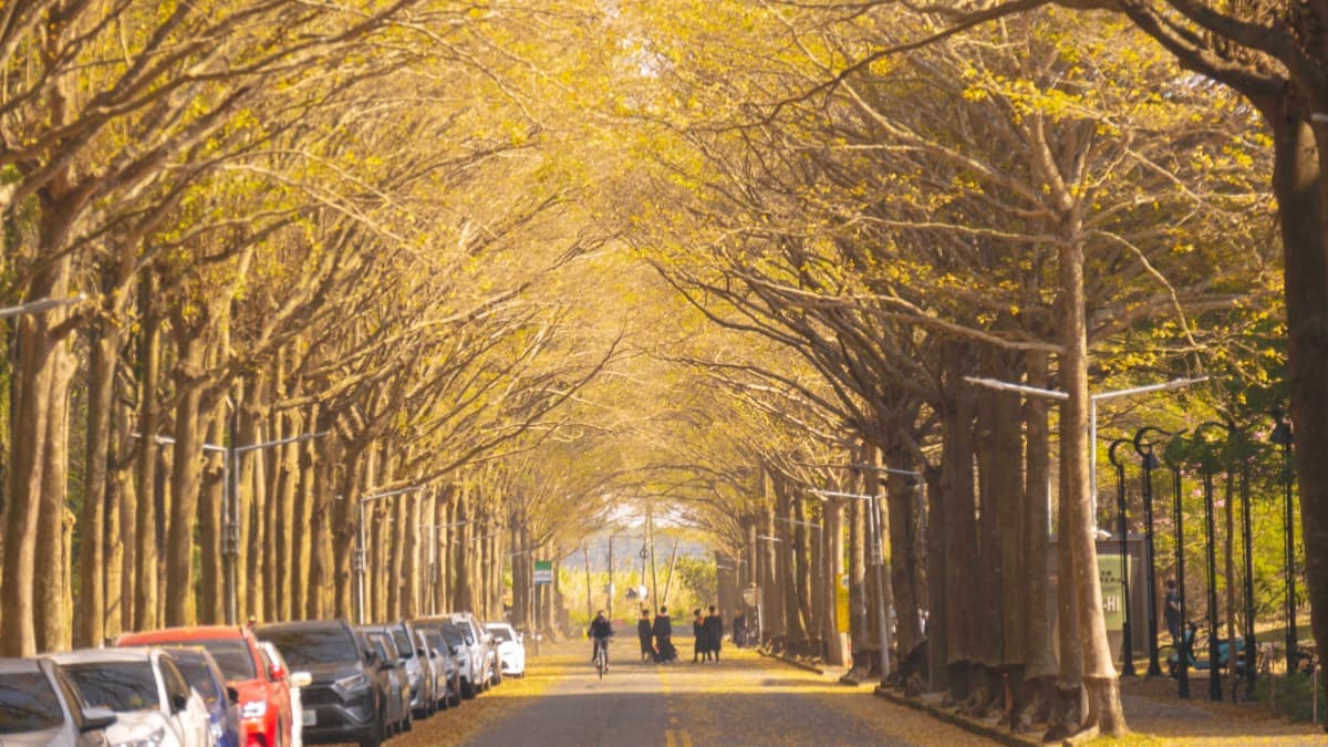國立中正大學