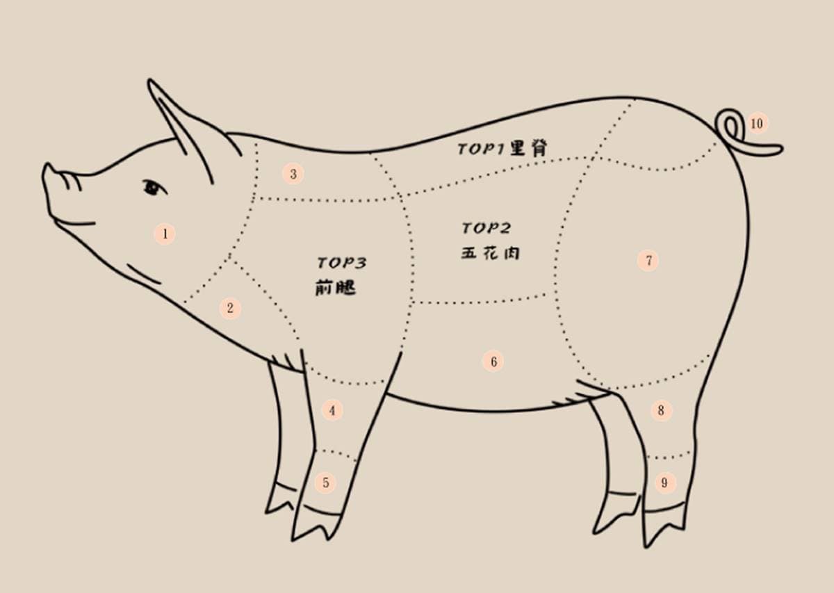 全豬美味大賞(上)!燒肉點「這2樣」才內行,老饕評比豬肉最好吃部位公開 全豬美味大賞(上)!燒肉點「這2樣」才內行,老饕評比豬肉最好吃部位公開