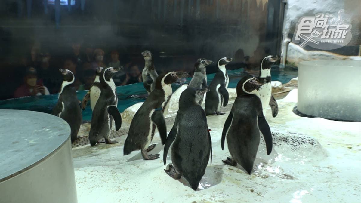 馬尼拉海洋公園 img