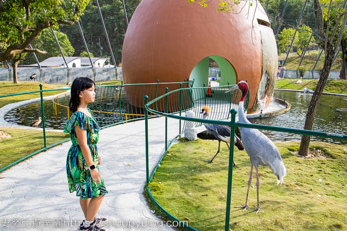 瘋玩台版「侏儸紀公園」!占地6萬坪「亞洲最大」,必拍巨大恐龍、白貓頭鷹 瘋玩台版「侏儸紀公園」!占地6萬坪「亞洲最大」,必拍巨大恐龍、白貓頭鷹