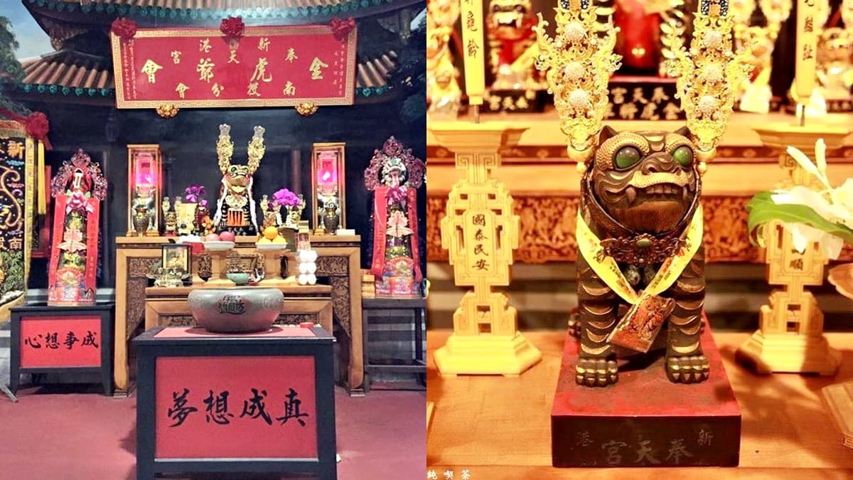 3/6「驚蟄」必拜虎爺!消災解厄還能咬錢招財,2生肖有貴人相助財運爆發