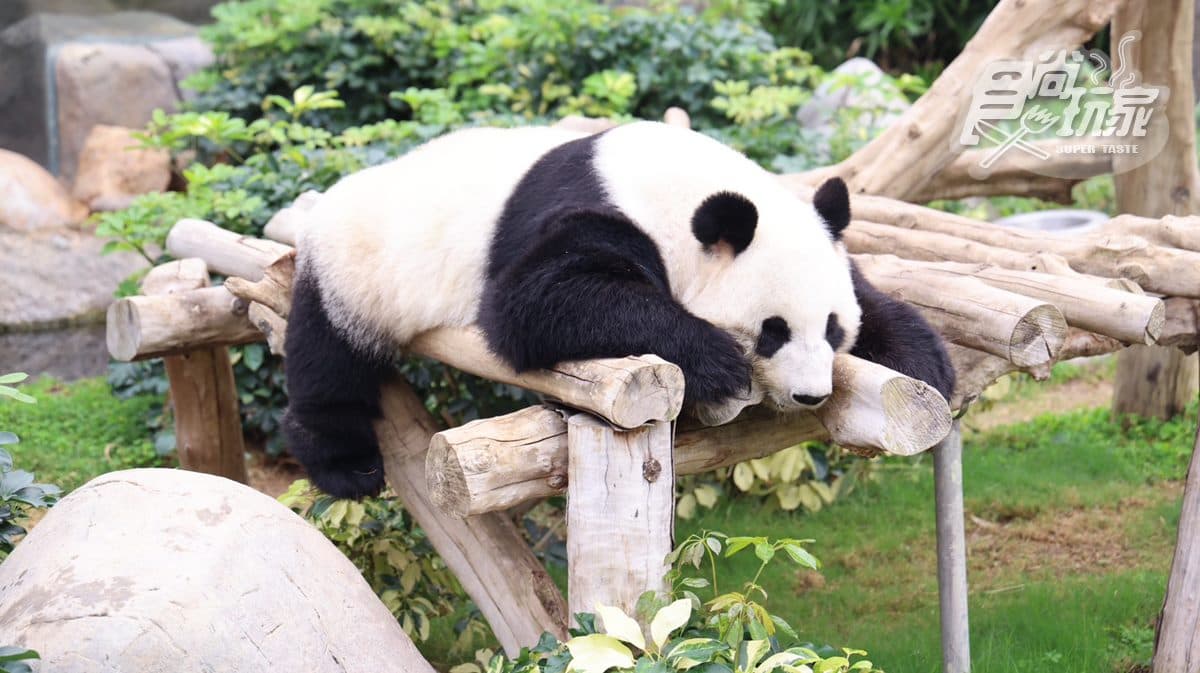 香港海洋公園Ocean Park Hong Kong img