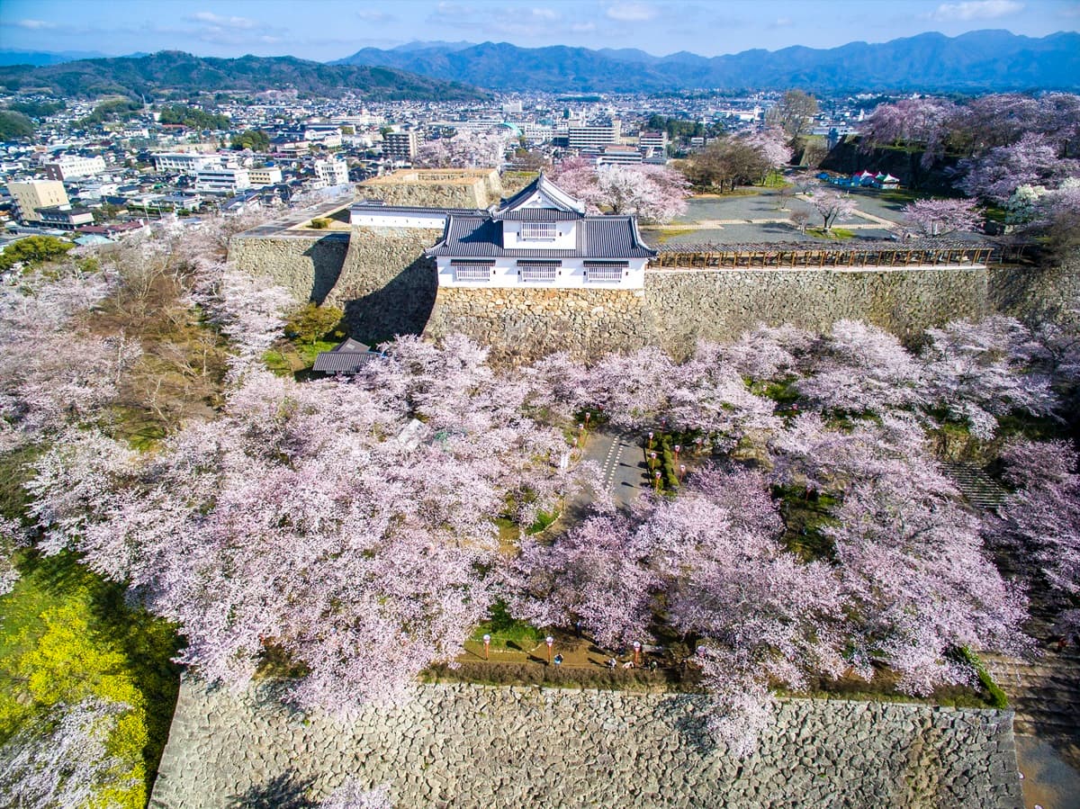 免費抽「日本岡山來回機票」!台灣虎航岡山航線3/26起復航,衝桃太郎故鄉賞櫻(中獎名單公布) 免費抽「日本岡山來回機票」!台灣虎航岡山航線3/26起復航,衝桃太郎故鄉賞櫻(中獎名單公布)