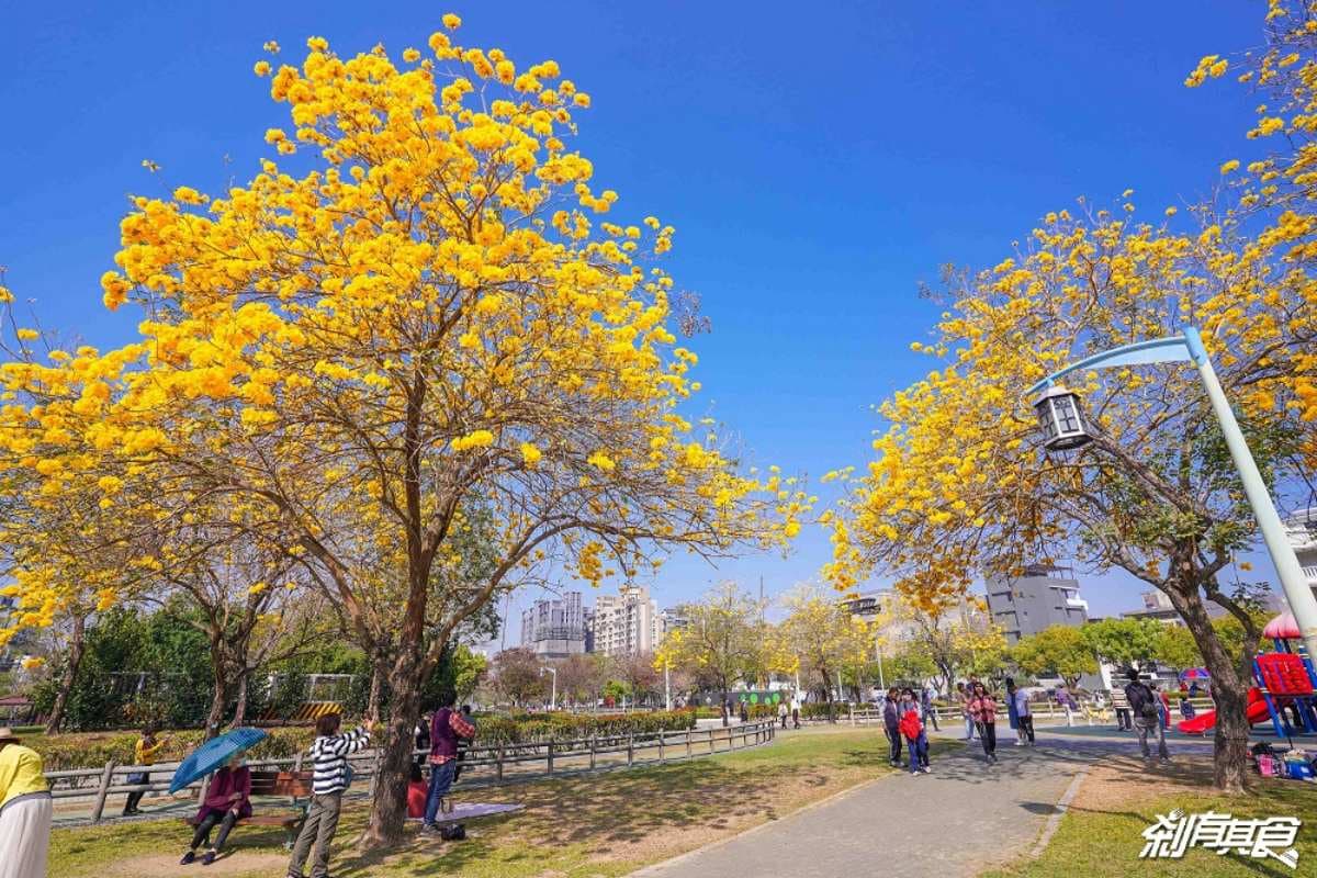 2026北屯美食地圖!台中漢神百貨周邊20間餐廳推薦,順遊限定花海 黃花風鈴木大爆發!5處「賞花夯點」錯過等明年:1公里花海隧道、金黃公園