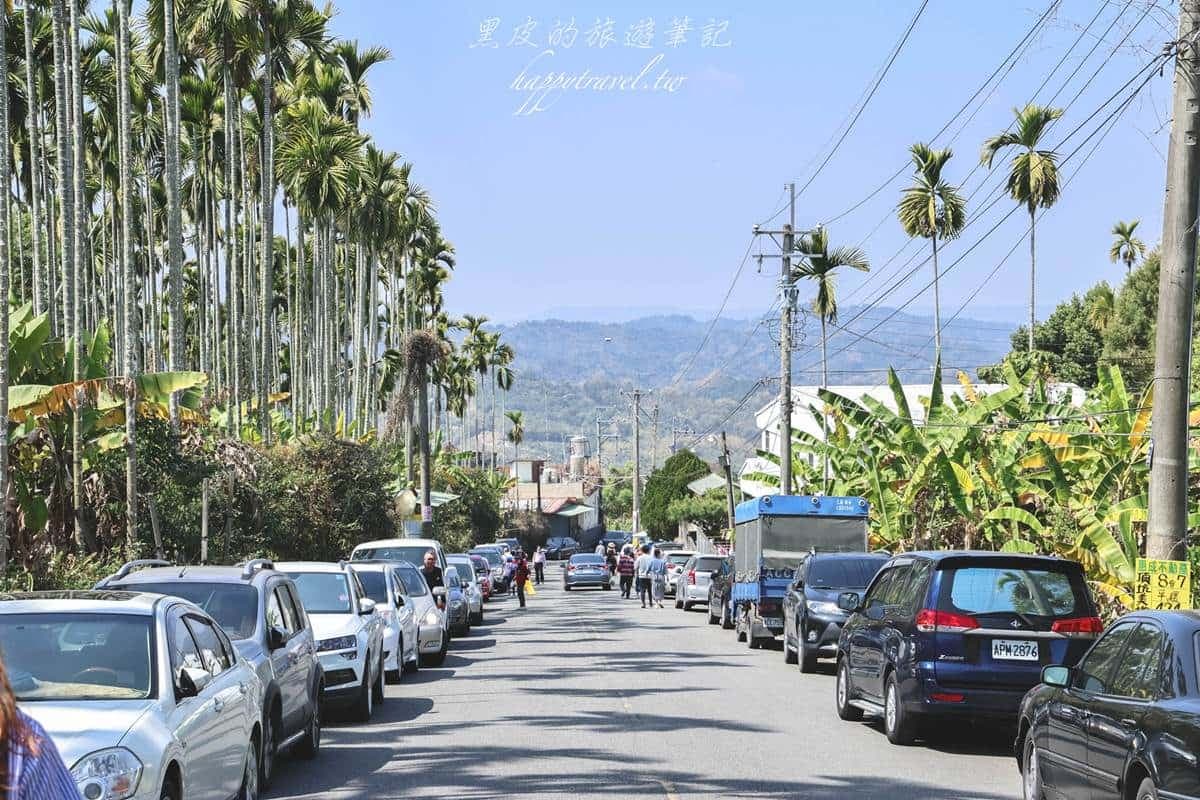 全台最美「粉紅山丘」在這!比人高「麝香木花海」爆發中,3月底前快朝聖 全台最美「粉紅山丘」在這!比人高「麝香木花海」爆發中,3月底前快朝聖