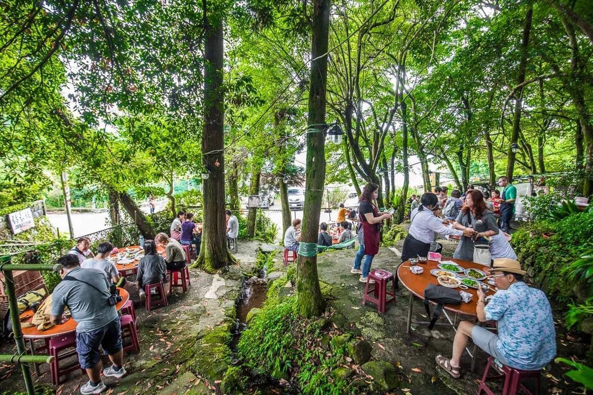 陽明山賞花必收!網推6最強土雞餐廳:稱霸竹子湖、必比登推薦、破3000則好評 陽明山賞花必收!網推6最強土雞餐廳:稱霸竹子湖、必比登推薦、破3000則好評