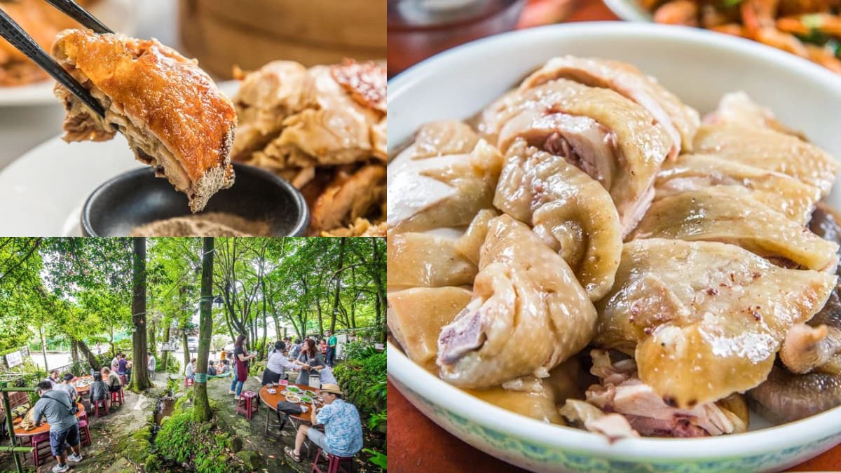 陽明山賞花必收!網推6最強土雞餐廳:稱霸竹子湖、必比登推薦、破3000則好評