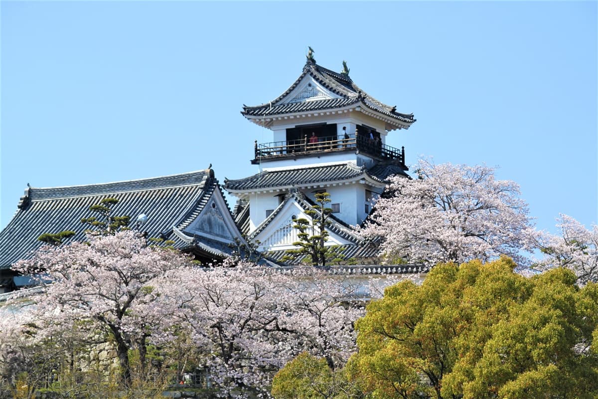 國旅輸了!玩日本全包17900元起,全新「四國航線」開飛,帶長輩最多省8000元 國旅輸了!玩日本全包17900元起,全新「四國航線」開飛,帶長輩最多省8000元