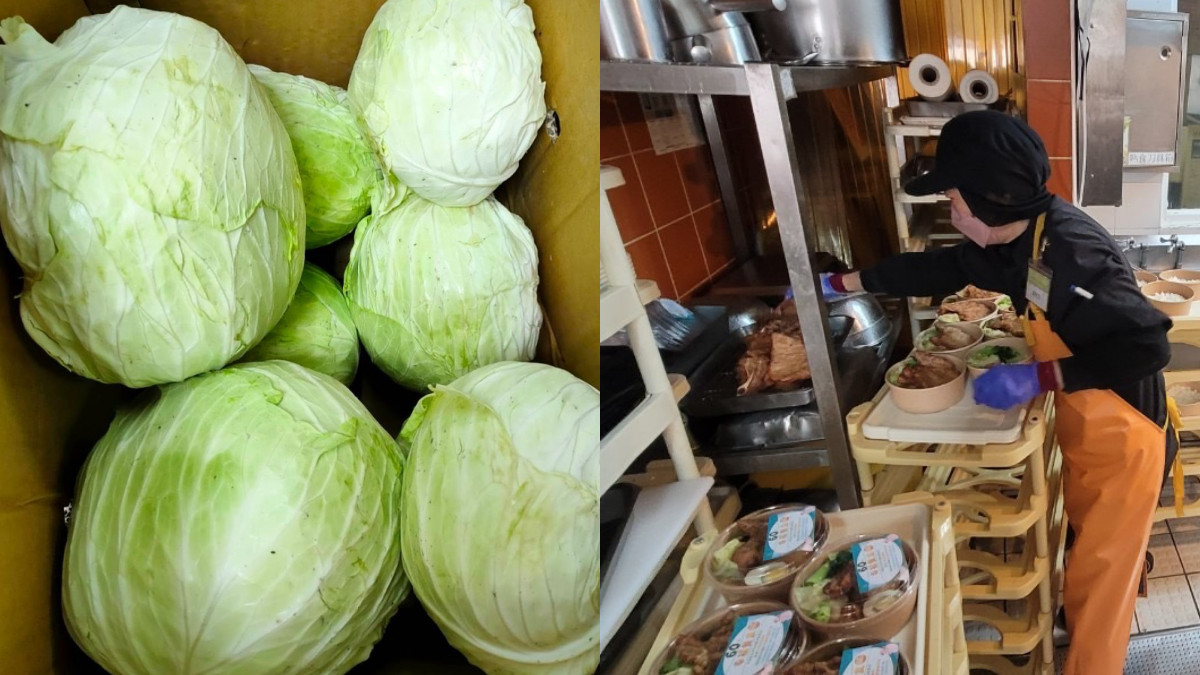 真的只要60元!家樂福超狂比臉大「炸排骨便當」,每週限量8000盒快搶 真的只要60元!家樂福超狂比臉大「炸排骨便當」,每週限量8000盒快搶