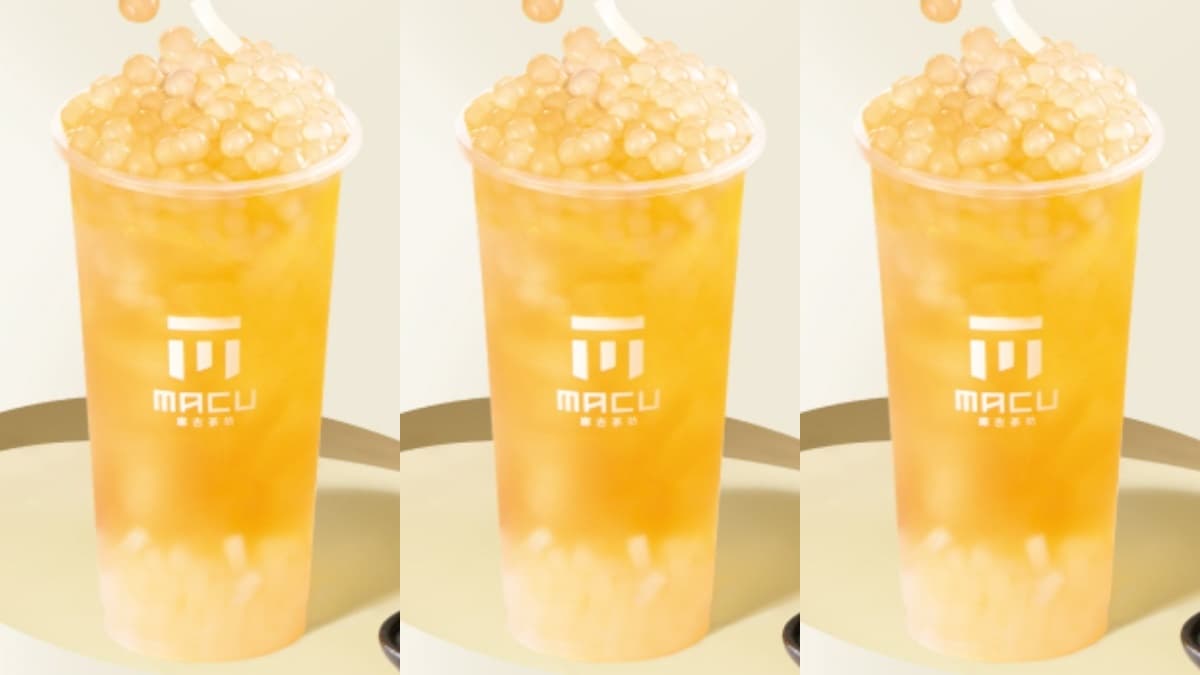 麻古茶坊買一送一!「金萱雙Q」喝整週,春陽茶事「春分日」全品項買一送一 麻古茶坊買一送一!「金萱雙Q」喝整週,春陽茶事「春分日」全品項買一送一