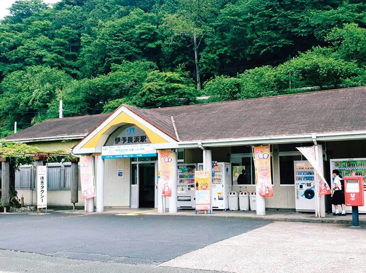 貓奴一生必訪天堂!「超萌貓島」百隻貓咪比居民還多,想朝聖還得看運氣 貓奴一生必訪天堂!「超萌貓島」百隻貓咪比居民還多,想朝聖還得看運氣