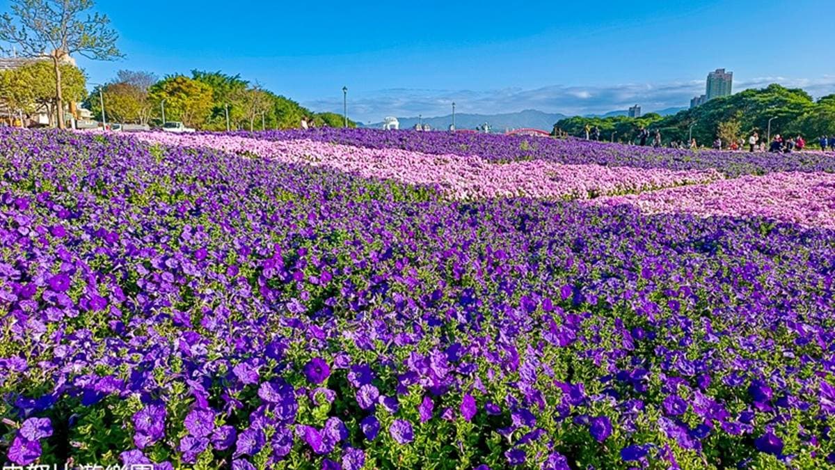 古亭河濱公園 img