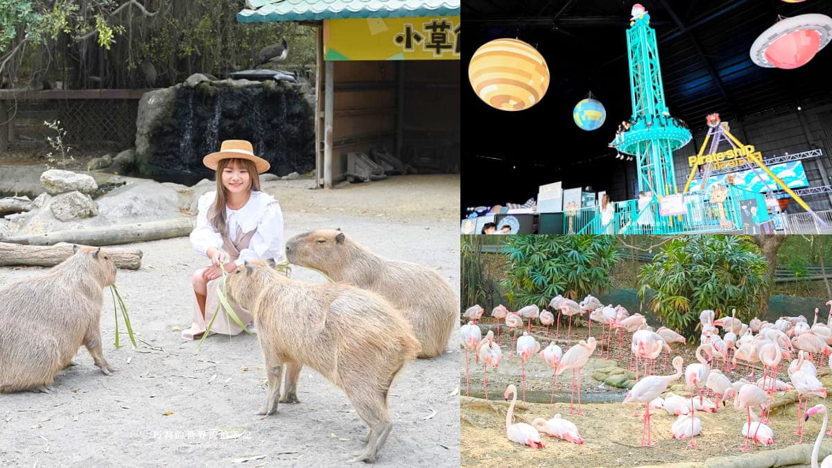 連假5折起玩「南台灣最大動物園」!零距離餵水豚、新遊樂設施,遛小孩快衝