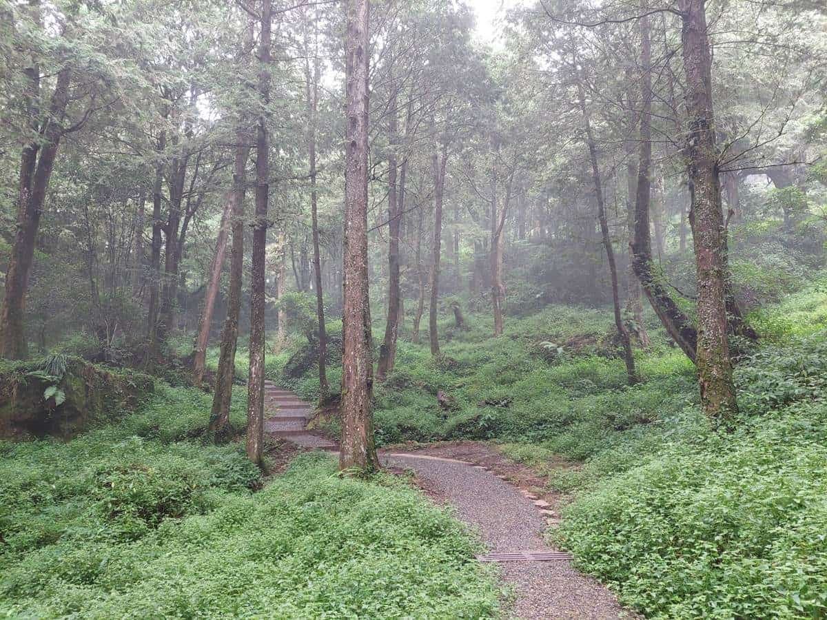 爸媽出遊看這篇!兒童節必訪12大親子景點,免費入園優惠、放電活動一次收 爸媽出遊看這篇!兒童節必訪12大親子景點,免費入園優惠、放電活動一次收