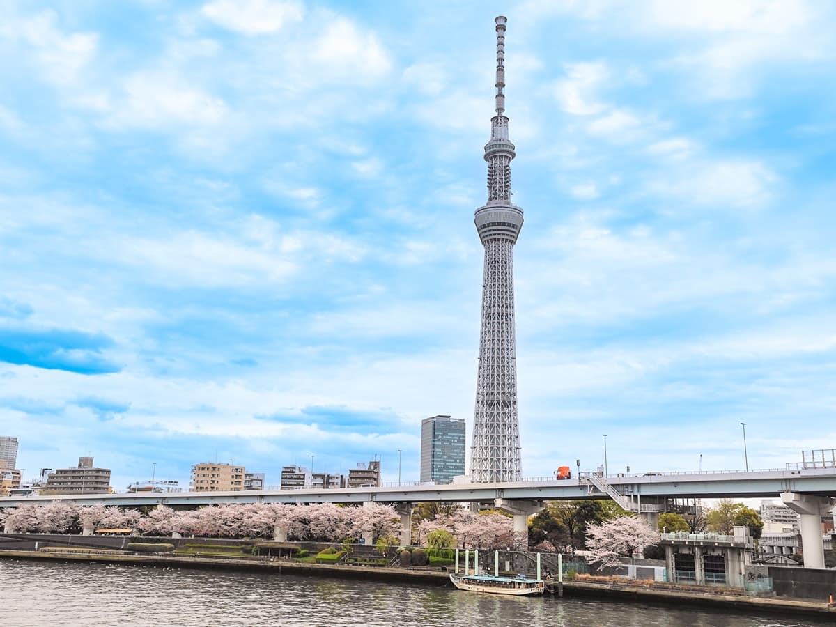 雷門櫻花大爆發!「1公里夢幻花海」登場,必拍晴空塔賞花美照 雷門櫻花大爆發!「1公里夢幻花海」登場,必拍晴空塔賞花美照