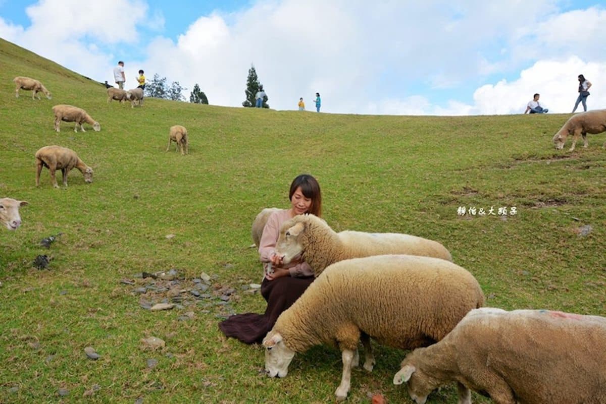 兒童節出遊必收!全台40家「親子景點」人氣排行榜,休閒農場、公園一次看 兒童節出遊必收!全台40家「親子景點」人氣排行榜,休閒農場、公園一次看