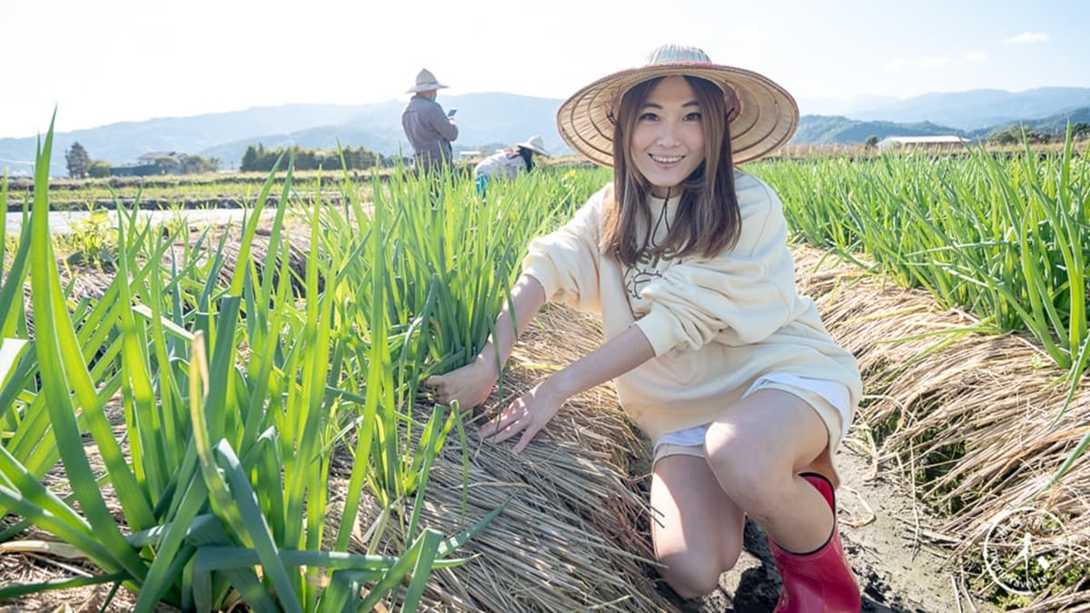 初咪體驗農場 img