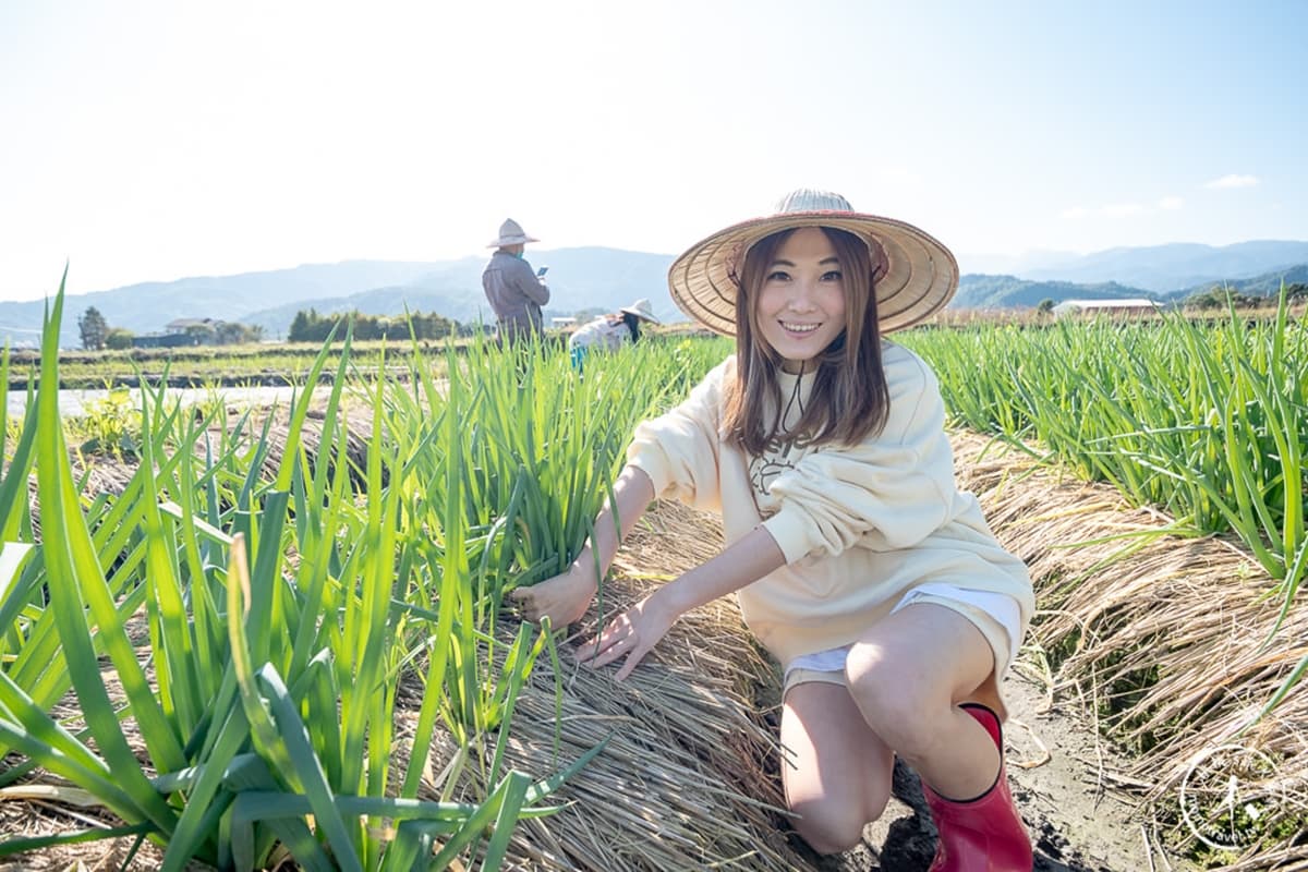 250元1票玩到飽!衝宜蘭新農場體驗拔蔥、做蔥麵包、抓泥鰍,變身1日小農夫 250元1票玩到飽!衝宜蘭新農場體驗拔蔥、做蔥麵包、抓泥鰍,變身1日小農夫