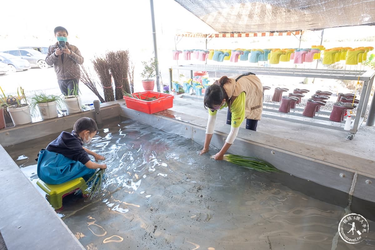 250元1票玩到飽!衝宜蘭新農場體驗拔蔥、做蔥麵包、抓泥鰍,變身1日小農夫 250元1票玩到飽!衝宜蘭新農場體驗拔蔥、做蔥麵包、抓泥鰍,變身1日小農夫
