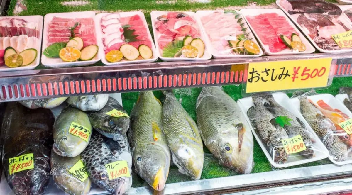 日本動物系景點!超人氣6處必去:全球唯一狐狸村、千隻兔兔圍繞神祕島 日本動物系景點!超人氣6處必去:全球唯一狐狸村、千隻兔兔圍繞神祕島
